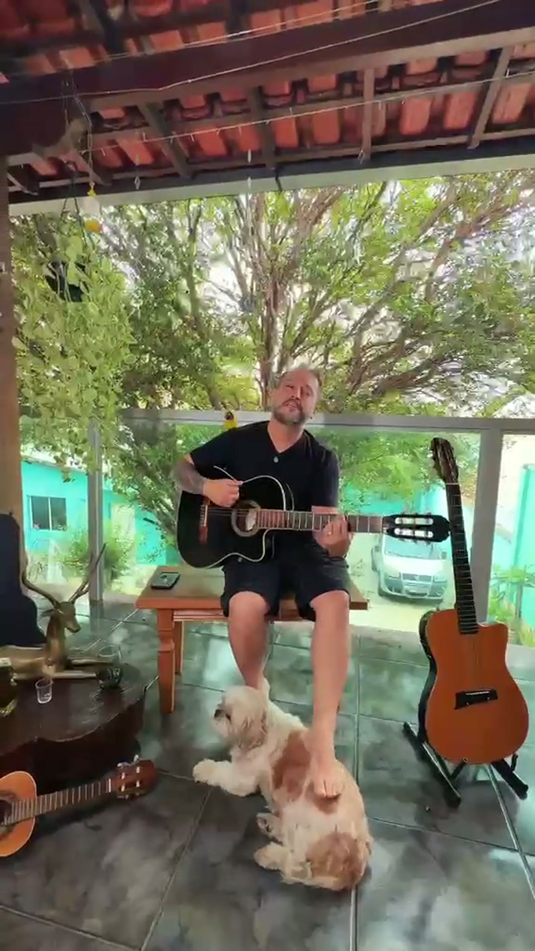 Thiago Pimenta: Axé ao vivo
